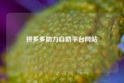 拼多多助力自助平台网站