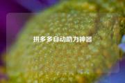 拼多多自动助力神器