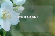 搜索拼多多助力