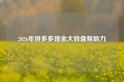 2026年拼多多现金大转盘帮助力