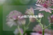📱pdd助力网站新用户