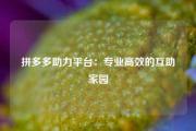拼多多助力平台：专业高效的互助家园