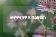 拼多多多多果园,自助刷助力