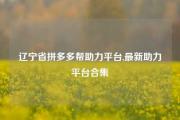 辽宁省拼多多帮助力平台,最新助力平台合集