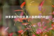 拼多多助力砍价,真人极速助力砍价