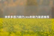 拼多多首刀助力,2026年助力渠道推荐