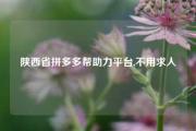 陕西省拼多多帮助力平台,不用求人