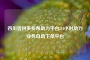 四川省拼多多帮助力平台,24小时助力业务自助下单平台