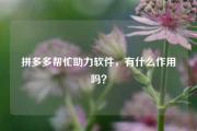 拼多多帮忙助力软件，有什么作用吗？