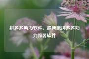 拼多多助力软件，最新版拼多多助力神器软件
