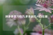 拼多多首刀助力,多多助力入口在哪