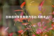 吉林省拼多多帮助力平台,不用求人