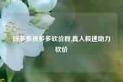 拼多多拼多多砍价群,真人极速助力砍价