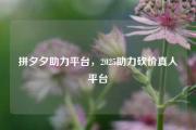 拼夕夕助力平台，2025助力砍价真人平台
