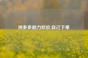 拼多多助力砍价,自己下单