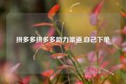 拼多多拼多多助力渠道,自己下单