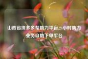 山西省拼多多帮助力平台,24小时助力业务自助下单平台