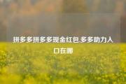 拼多多拼多多现金红包,多多助力入口在哪