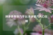拼多多帮助力平台,多多助力入口在哪
