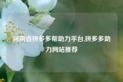 河南省拼多多帮助力平台,拼多多助力网站推荐