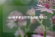 2025拼多多元旦节活动助力入口