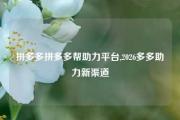 拼多多拼多多帮助力平台,2026多多助力新渠道