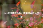 2025年拼多多助力，靠谱平台低价下单