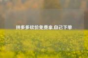拼多多砍价免费拿,自己下单