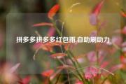 拼多多拼多多红包雨,自助刷助力