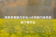 拼多多帮助力平台,24小时助力业务自助下单平台