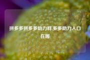 拼多多拼多多助力群,多多助力入口在哪