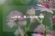 pdd砍价，真人砍价助力网