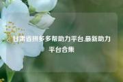 甘肃省拼多多帮助力平台,最新助力平台合集