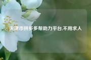 天津市拼多多帮助力平台,不用求人