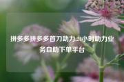 拼多多拼多多首刀助力,24小时助力业务自助下单平台
