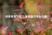 拼多多首刀助力,最新助力平台合集
