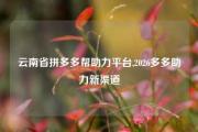 云南省拼多多帮助力平台,2026多多助力新渠道