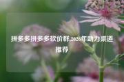拼多多拼多多砍价群,2026年助力渠道推荐