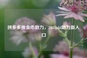 拼多多推金币助力，2025pdd助力新入口