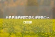 拼多多拼多多首刀助力,多多助力入口在哪