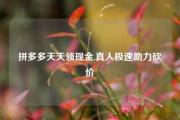 拼多多天天领现金,真人极速助力砍价