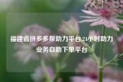 福建省拼多多帮助力平台,24小时助力业务自助下单平台