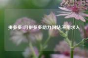 拼多多4月拼多多助力网站,不用求人