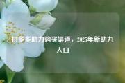 拼多多助力购买渠道，2025年新助力入口