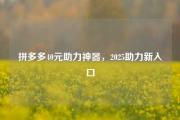 拼多多40元助力神器，2025助力新入口