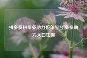 拼多多拼多多助力接单平台,多多助力入口在哪