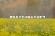 拼多多助力砍价,自助刷助力