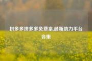 拼多多拼多多免费拿,最新助力平台合集