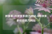 拼多多4月拼多多助力网站,10月拼多多砍价助力网站