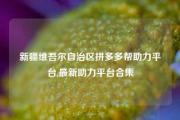 新疆维吾尔自治区拼多多帮助力平台,最新助力平台合集